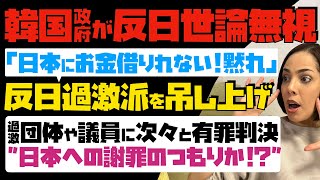 【韓国政府が反日世論無視】「日本にお金借りれない！黙れ」反日過激派を吊し上げへ…過激な団体や議員に次々と有罪判決。日本への謝罪のつもりか！？ [upl. by Sharyl37]