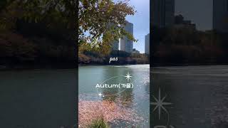 Four Seasons in Korea 한국 4계절입니다 amazingkorea korea travel [upl. by Reddy]