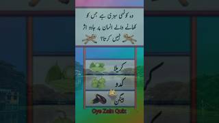 Oye Zain Quiz 💯 black magic asar karela sabji jadu generalknowledge typ sawal jabab [upl. by Filide]