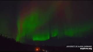 Spectacular Northern Lights Aurora Borealis Display Fairbanks Alaska 1062024 exploreorg [upl. by Ffilc858]