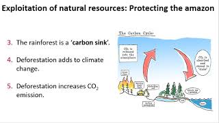 Deforestation in the AmazonIKEA case study [upl. by Aldwon]