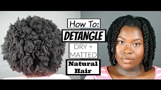 How To Detangle THICK DRY  MATTED  Finger Detangling  Type 4a 4b 4c Natural Hair  Bubs Bee [upl. by Eecrad]