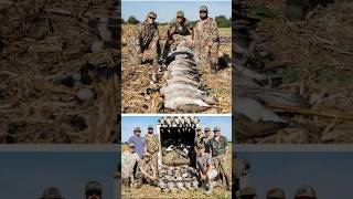 FOWL LIMITS hunt hunting wildlife nature sitka sunrise bird sky benelli waterfowl geese [upl. by Anerom263]