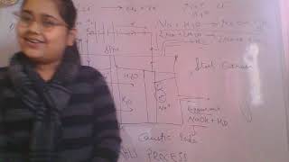 Electrolysis of Brine using membrane cell  tutorial by Aliya Gupta [upl. by Assiled]