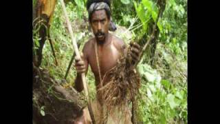 Tanna Kava  Meet the natives from Tanna Kava and see how to prepare your Tanna Kava Powder [upl. by Tyra186]