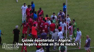 Guinée équatoriale – Algérie Une bagarre éclate en fin de match [upl. by Anaizit598]