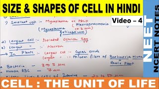 Size and Shapes of Cell in Hindi  Cell  The unit of life  Class 11  Class9  CBSE  NEET 2122 [upl. by Fellner]