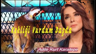 Adile Kurt Karatepe ⊰❀⊱ Kekliği Vurdum Daşda ⊰❀⊱Şiirli [upl. by Lehcar]