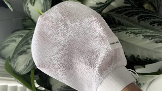 Wildpier Exfoliating Glove Review What Should You Expect From It [upl. by Esital960]