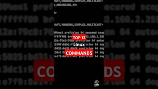 12 MustKnow Linux Networking Commandslinuxcommands linux cybersecurity [upl. by O'Dell]