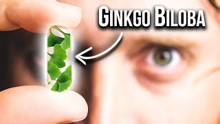 Surprising Ways Ginkgo Biloba Can Improve Your Brain [upl. by Iadam118]