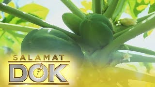 Salamat Dok Health benefits of Papaya [upl. by Hibbs]