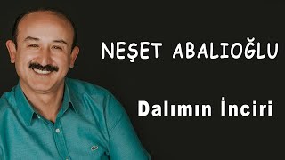 Neşet Abalıoğlu Dalımın İnciri [upl. by Assirim]