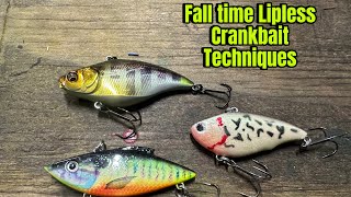 Strategies And Techniques For Fishing Lipless Crankbaits In October And November… [upl. by Aiza]