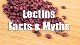 Lectins Facts amp Myths 700 Calorie Meals DiTuro Productions [upl. by Hadihahs]