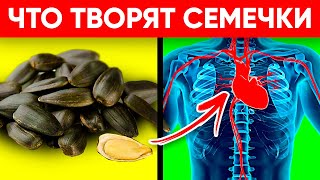 ВОТ ЧТО ТВОРЯТ СЕМЕЧКИ Реальная Польза и Вред Семечек Подсолнуха [upl. by Derfliw]