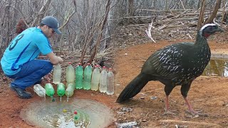 VEJA ESSAS AVES QUE APARECERAM NO POCINHO INÉDITOMARACÁSBA [upl. by Roswald]