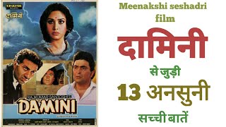 Damini movie unknown facts budget meenakshi seshadri sunny deol rishi kapoor Bollywood movies 1993 [upl. by Utham]