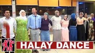 Düğün oyunu  Kürt HALAYI havası oyunu  Alanya düğünü [upl. by Ahsiner674]