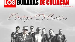 Buknas De Culiacan  Estrategia De Caricias Audio Oficial [upl. by Sculley567]