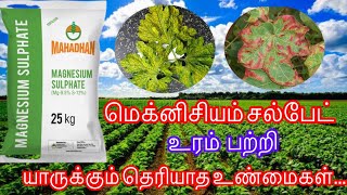 Megnesium sulphate உரம் பற்றிய விவரங்கள் mg megnesium sulphate agritechtamil micronutrient [upl. by Trev]