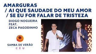 Diogo Nogueira feat Zeca Pagodinho AmargurasAi Que Saudade do Meu AmorSe Eu For Falar de Tristeza [upl. by Cyprio]