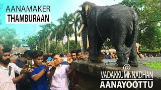 AANAMAKER  Vadakkumnnadhan AANAYOOTTU 2019 [upl. by Haraz]