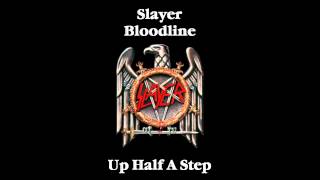 Slayer  Bloodline Drop D  D Standard [upl. by Kalli]