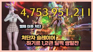 Lost Ark 처단자 상향 이후 하기르 12관 올밑잔 [upl. by Casper797]