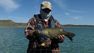 Popper catches a big smallmouth [upl. by Naggem]