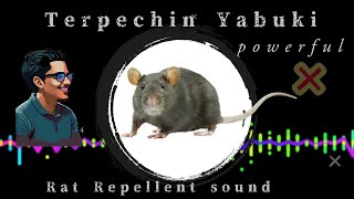 LIVE RatFree Living Ultrasonic Repellent Unveiled [upl. by Eerazed]