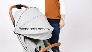 Ickle Bubba Gravity Stroller EN [upl. by Iadrahs]