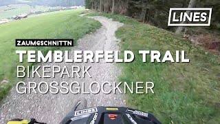 Temblerfelder Trail in Kals  Bikepark Großglockner  LINES [upl. by Nevile]