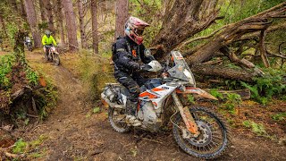 KTM New Zealand Adventure Rally off road breakout section Chris Birch [upl. by Ase]