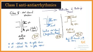 Class I Antiarrhythmics  UPB Lectures [upl. by Simonne]