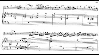 Stamitz  Viola Concerto 1st Mov M 116 piano accompaniment [upl. by Eninaej]