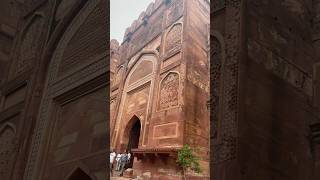 Agra fort agra ❤️ agrafort agratajmahal tajmahalinterior tajmahal [upl. by Furgeson]