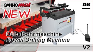 GANNOMAT DB 21  Dübelbohrmaschine  Multi Boring and Dowel Drilling Machine [upl. by Debo]