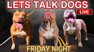 American Bully Podcast [upl. by Glynda]