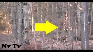 AGGRESSIVE BIGFOOT CAUGHT ON VIDEO  While Playing Hockey Film They Record A Sasquatch On Camera [upl. by Ahsimrac18]