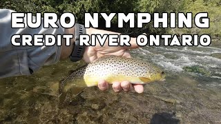 Euro Nymphing for Brown Trout  Ontario [upl. by Anidem]