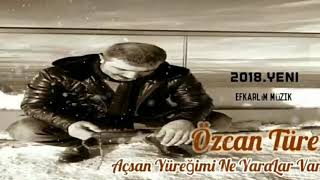 Özcan Türe  Açsan Yüreğimi Ne Yaralar Var 》Muhteşem Yorum《 [upl. by Frodine]