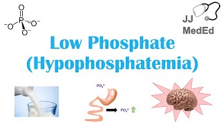 Low Phosphate Hypophosphatemia Causes Symptoms Treatment  amp Role of Phosphate Dietary Sources [upl. by Haroved]