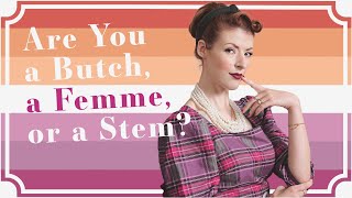 Are You a Butch a Femme or a Stem [upl. by Maroj]