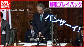 「バンザイ」をフライング⁉2014年の衆議院解散【解散プレイバック】 [upl. by Anahsed]