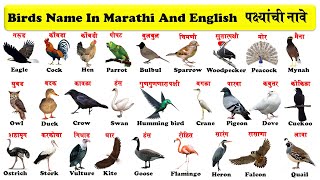 birds name in english and marathi with pdf  birds name  birds name  पक्ष्यांची नावे pdf सह [upl. by Ahsatsan]