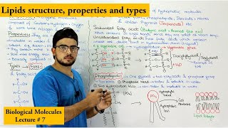 Lipids Structure types and Functions Part 1 [upl. by Ambros]