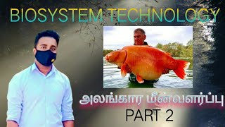 Biosystem Technology Practical  அலங்கார மீன் வளர்ப்பு  பகுதி 2 [upl. by Irved]