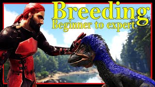 The Ultimate Breeding and Mutations Guide 2023  Ark survival Evolved [upl. by Phillada]