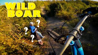 This ride could easily end up in HOSPITAL  The Wildest DH Trail in Zagreb CROATIA [upl. by Renata]